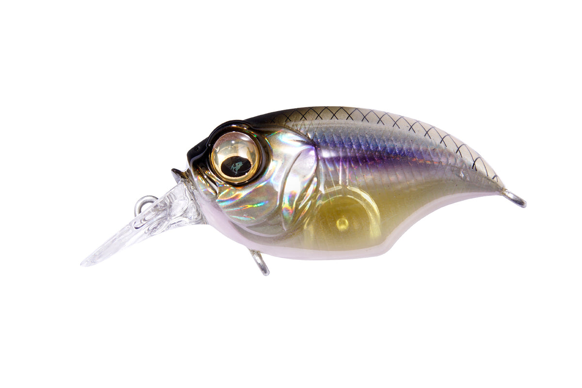 Megabass SR-X Griffon