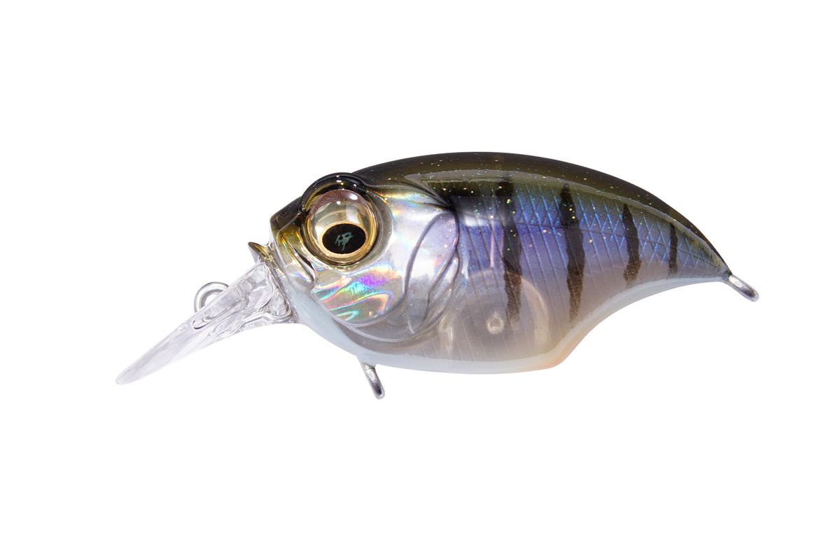 Megabass SR-X Griffon