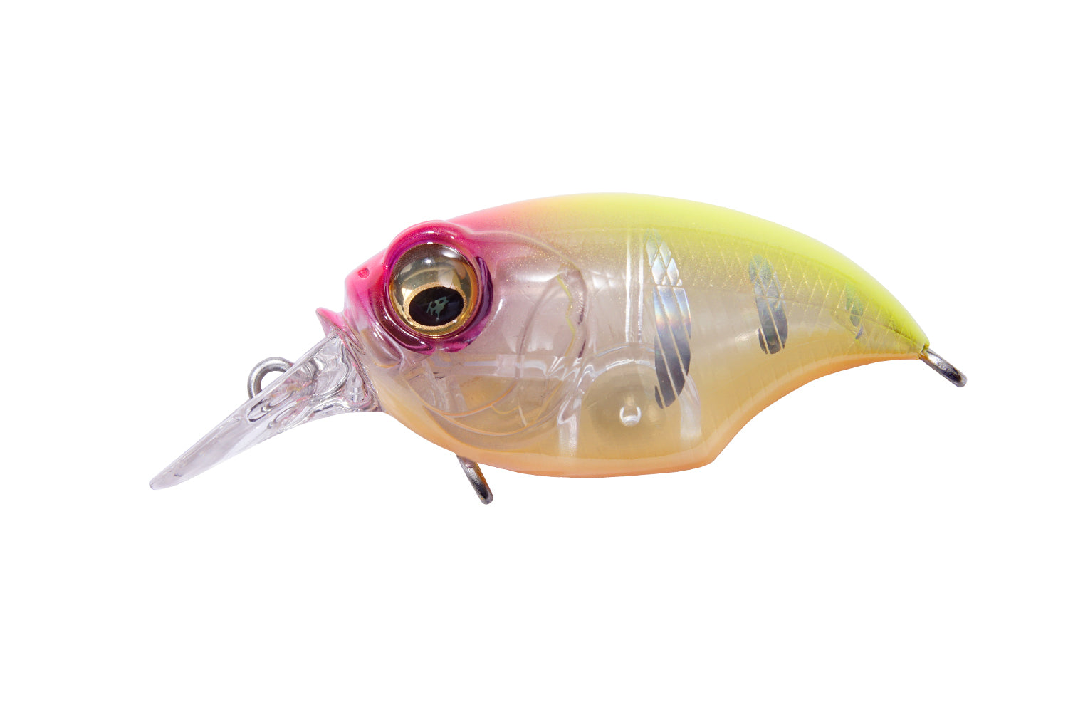 Megabass SR-X Griffon