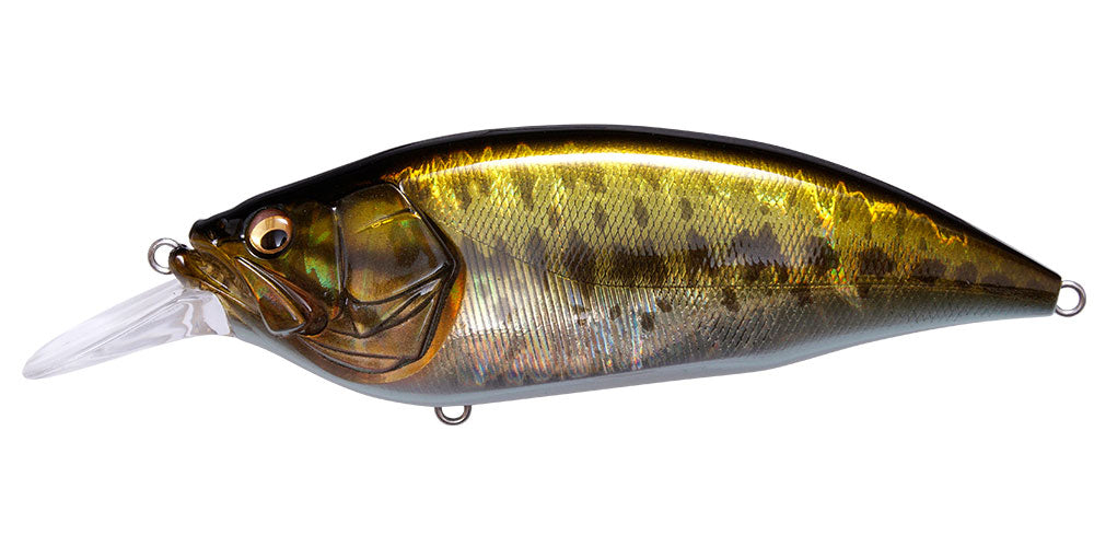 GG Largemouth