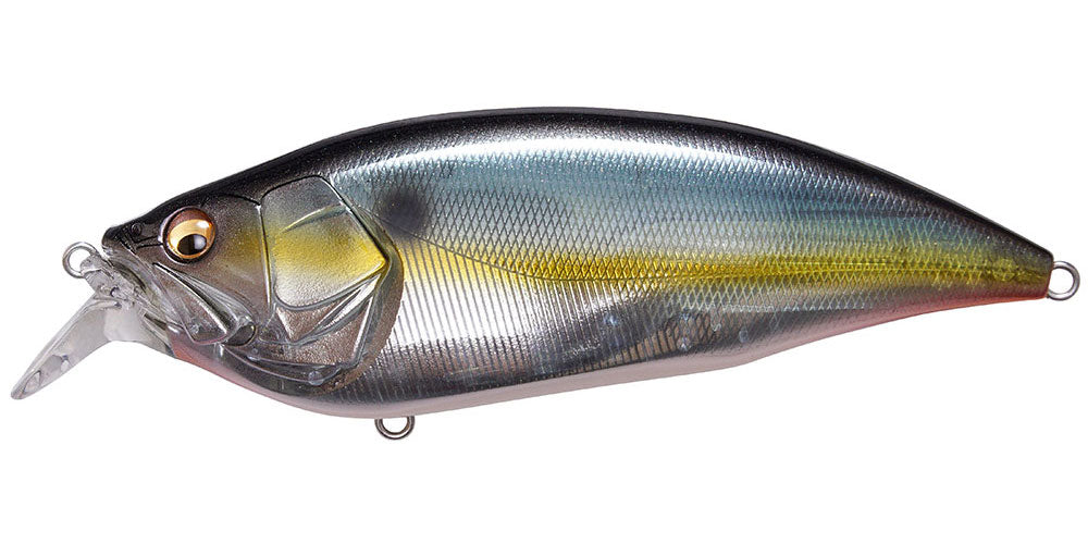 Jukucho Shad