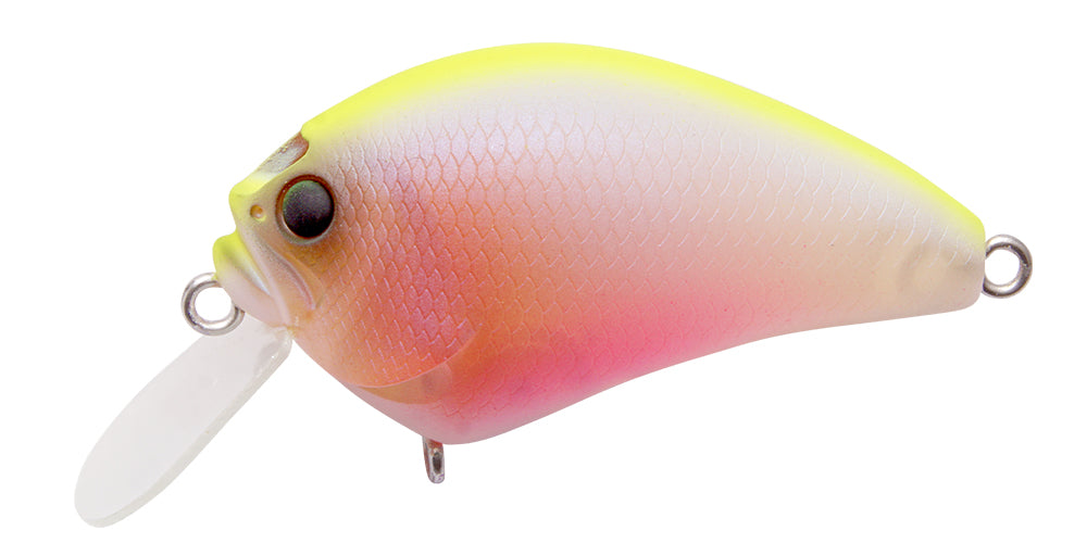 Baby Goldfish CB
