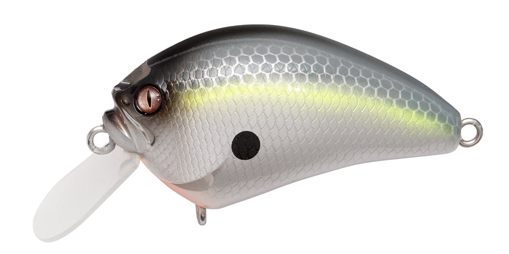 PM Sexy Shad