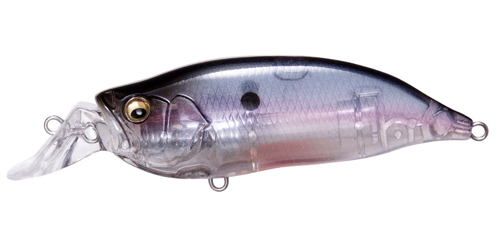 Ghost Shad
