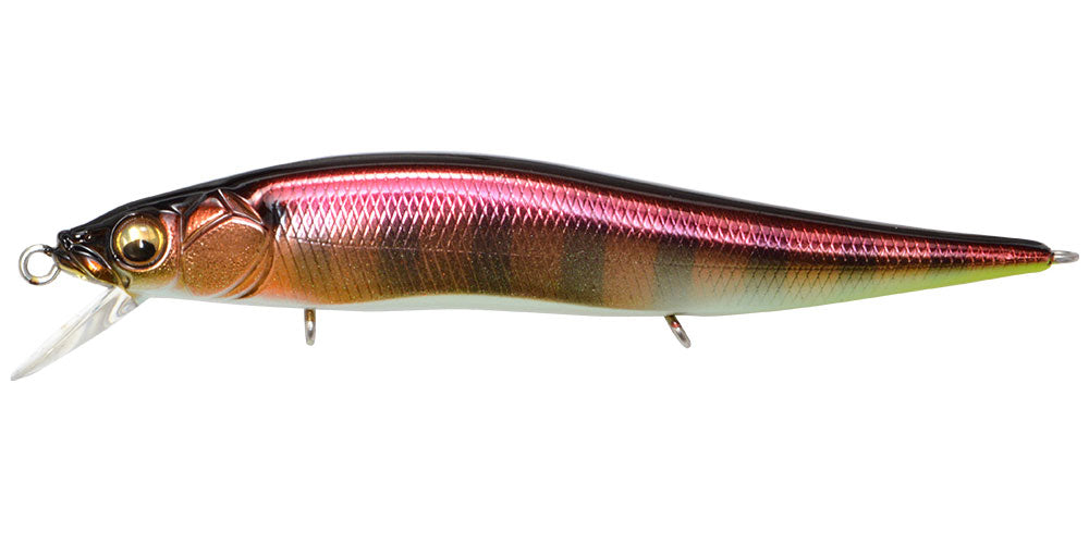 Megabass Vision OneTen Jr.