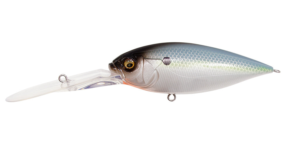 PM Sexy Shad