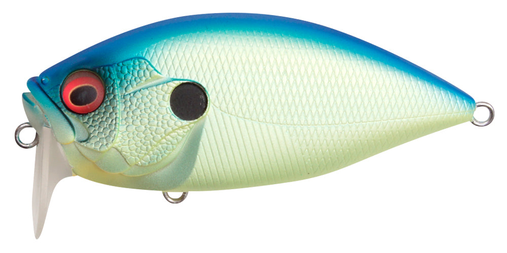 Matt Blue Back Chart