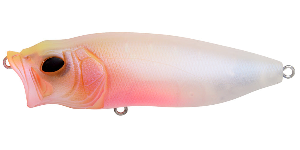 Baby Goldfish CB