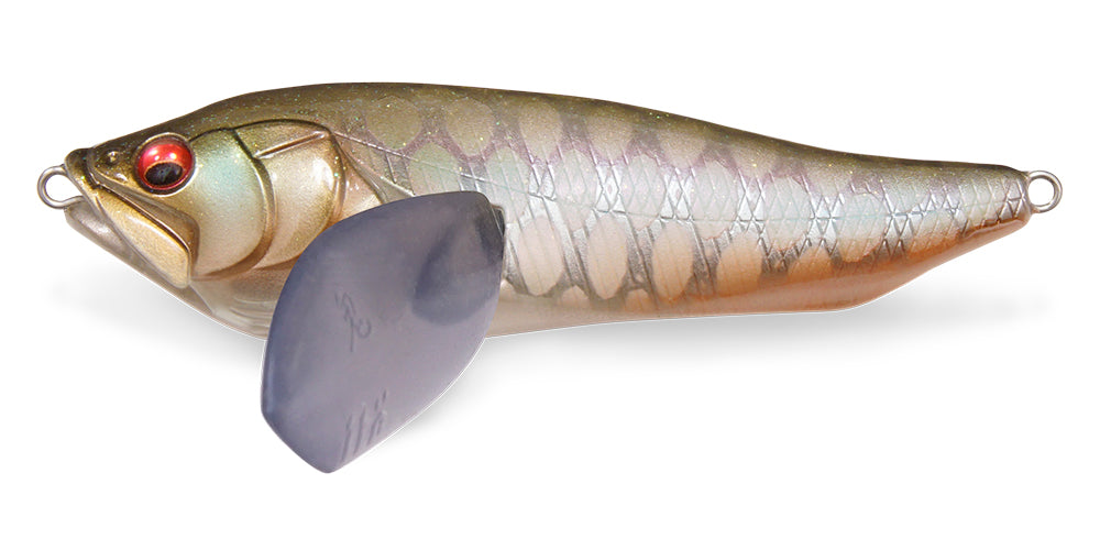 PM Silver Arowana