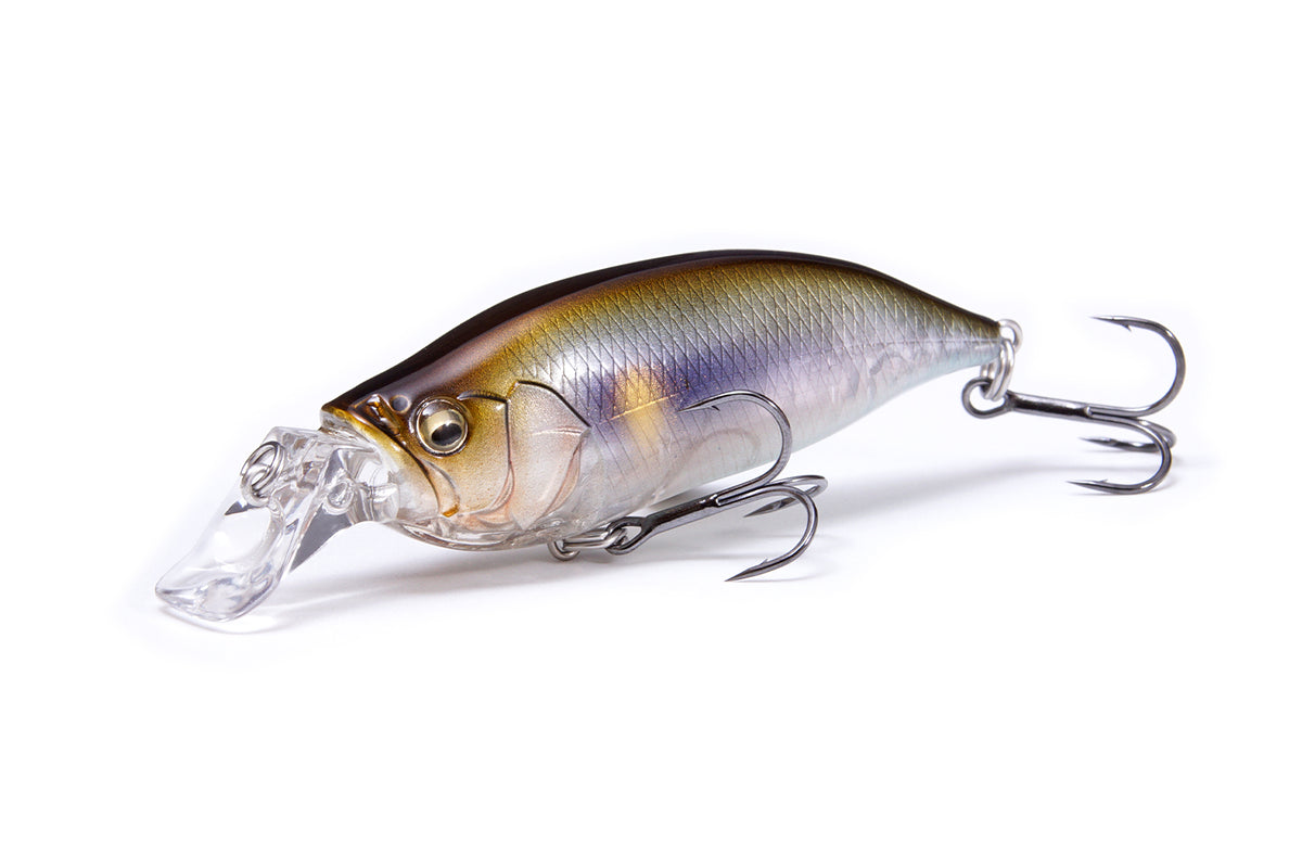 Megabass IXI Shad Type-R